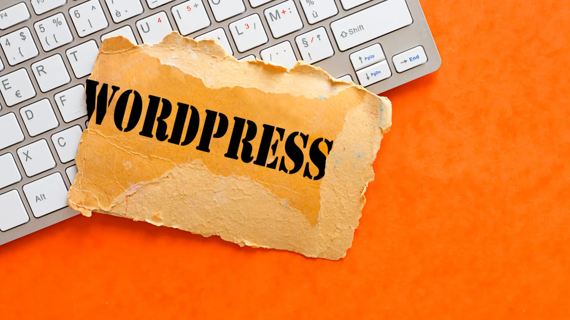 WordPress Development https://mudishtech.com/wp-content/uploads/2025/10/WordPress-Development.webp
